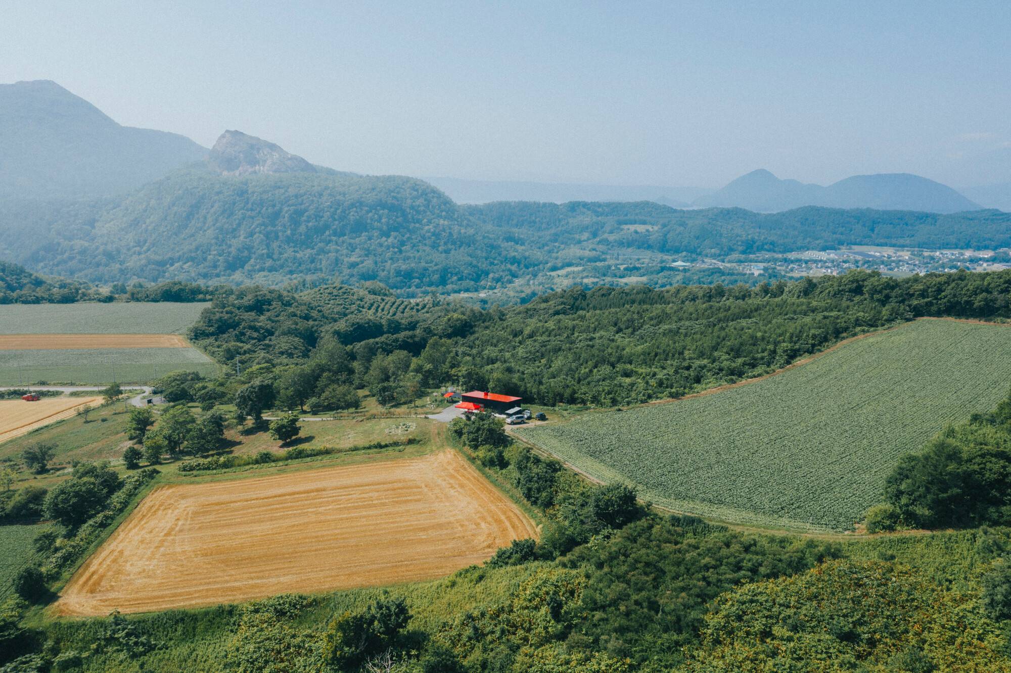 Aerial view over the fields and forest around the homestead