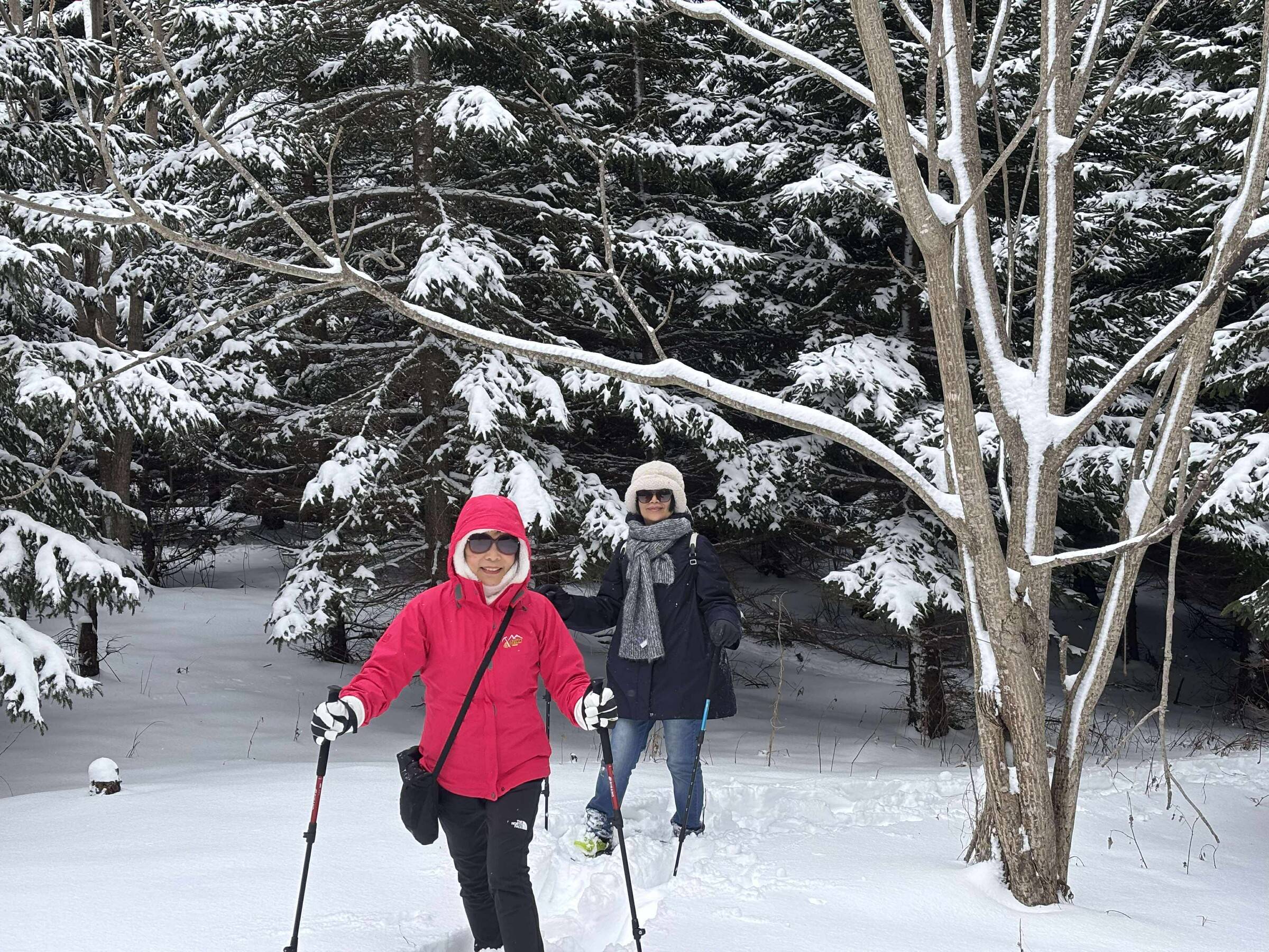 Guests snowshoeing through snowy woods